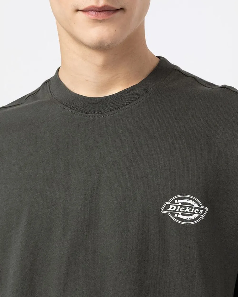 T-shirt Dickies holtville tee ss Verde Oliva